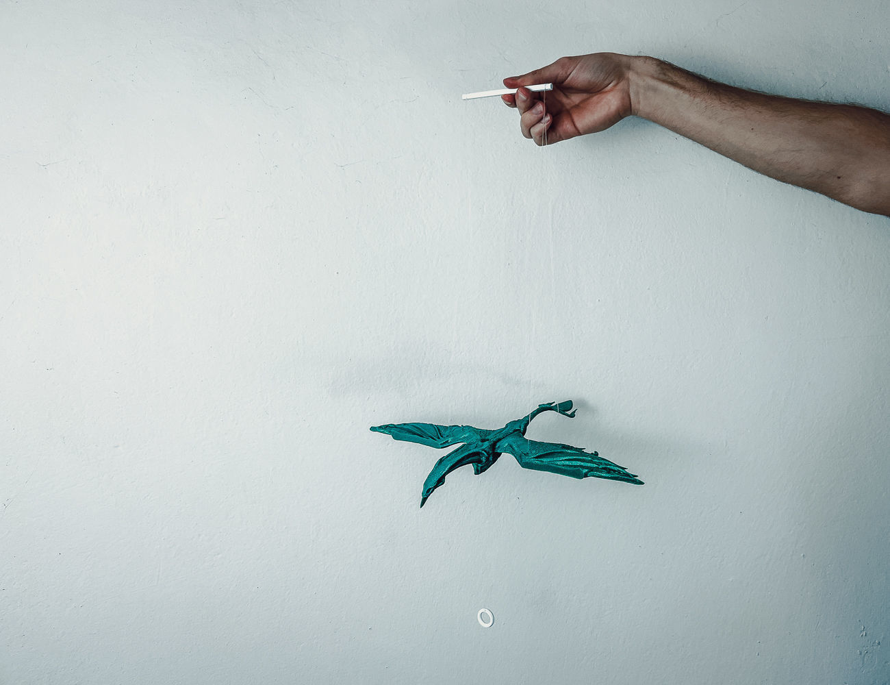 Avatar Ikran Flying Mobile 3D print model_3