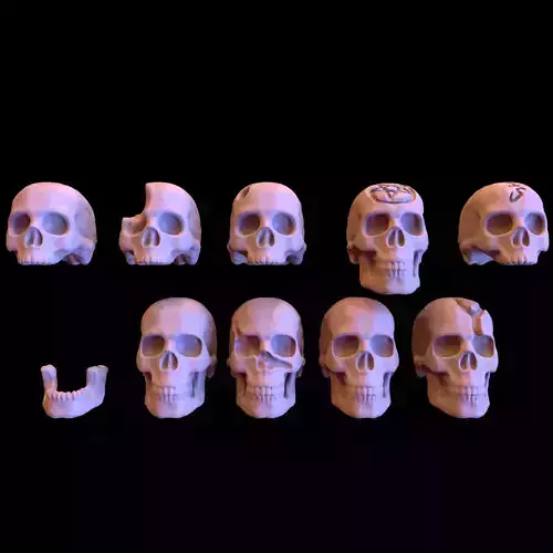 Human Skulls Pack