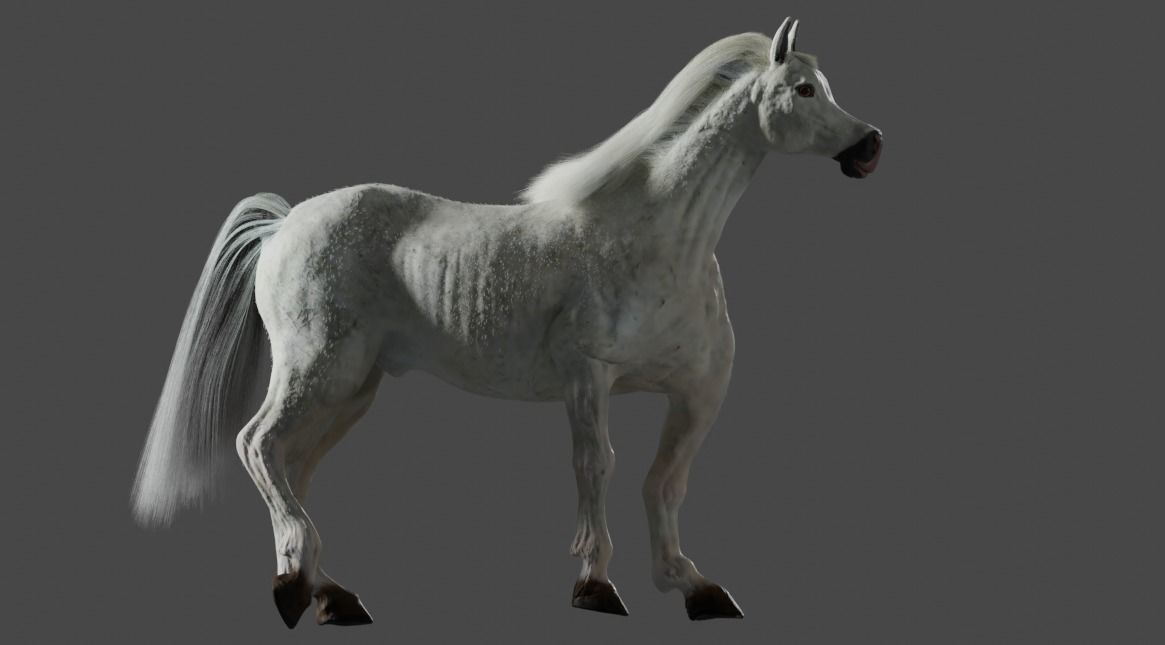 Horse Rigged and ANIMATED Model with Mane 3D model_4