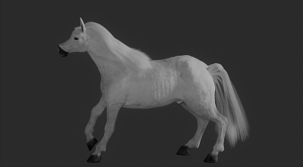 Horse Rigged and ANIMATED Model with Mane 3D model_6