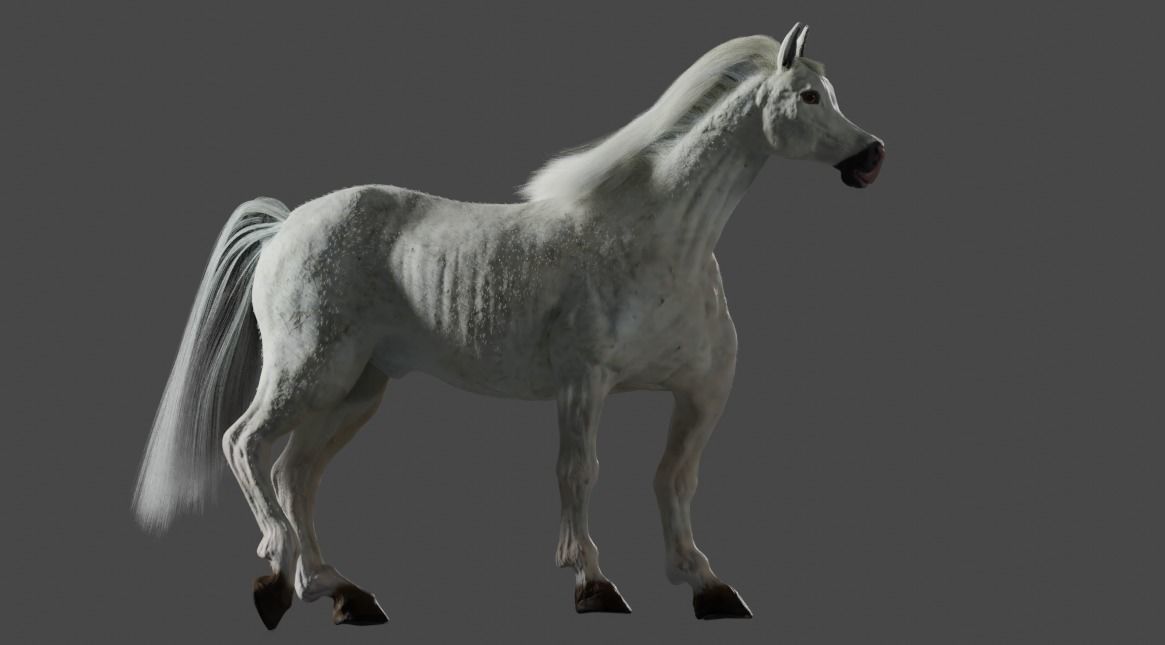 Horse Rigged and ANIMATED Model with Mane 3D model_8