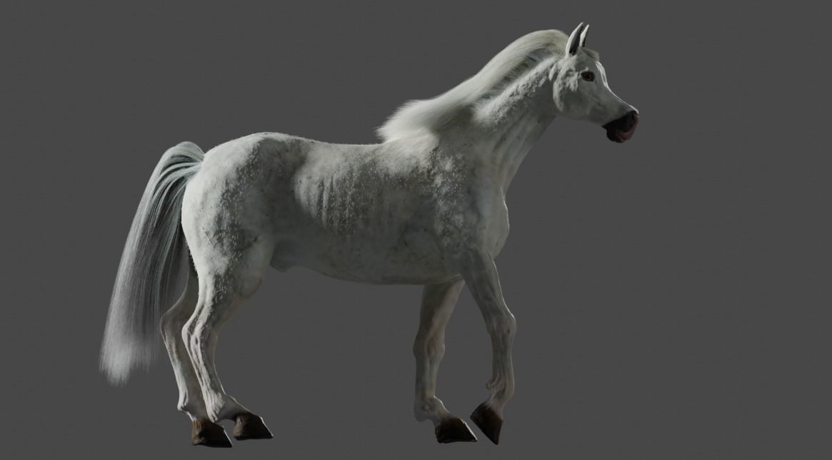Horse Rigged and ANIMATED Model with Mane 3D model_9
