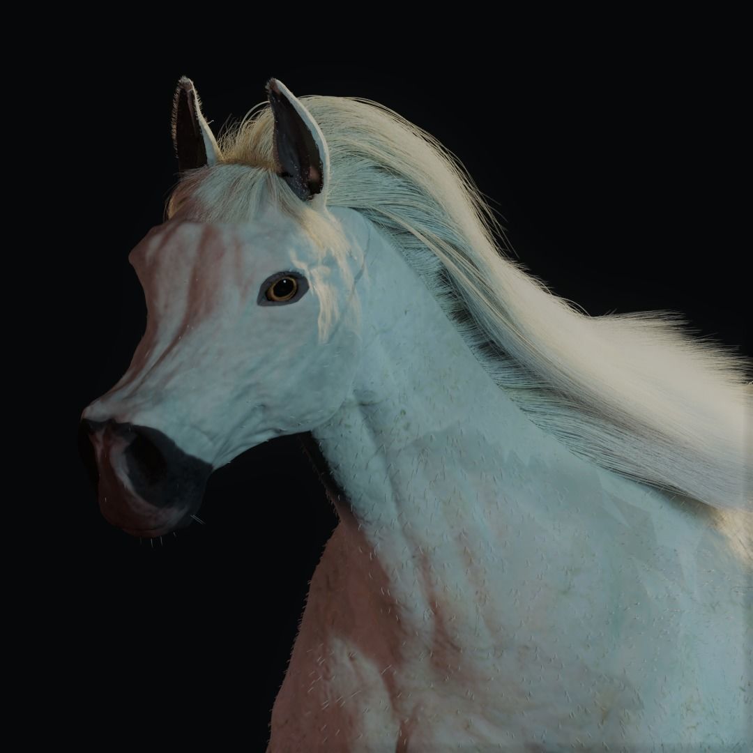 Horse Rigged and ANIMATED Model with Mane 3D model_5