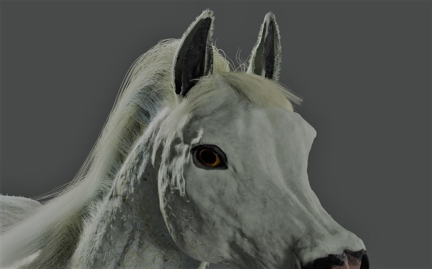 Horse Rigged and ANIMATED Model with Mane 3D model_2