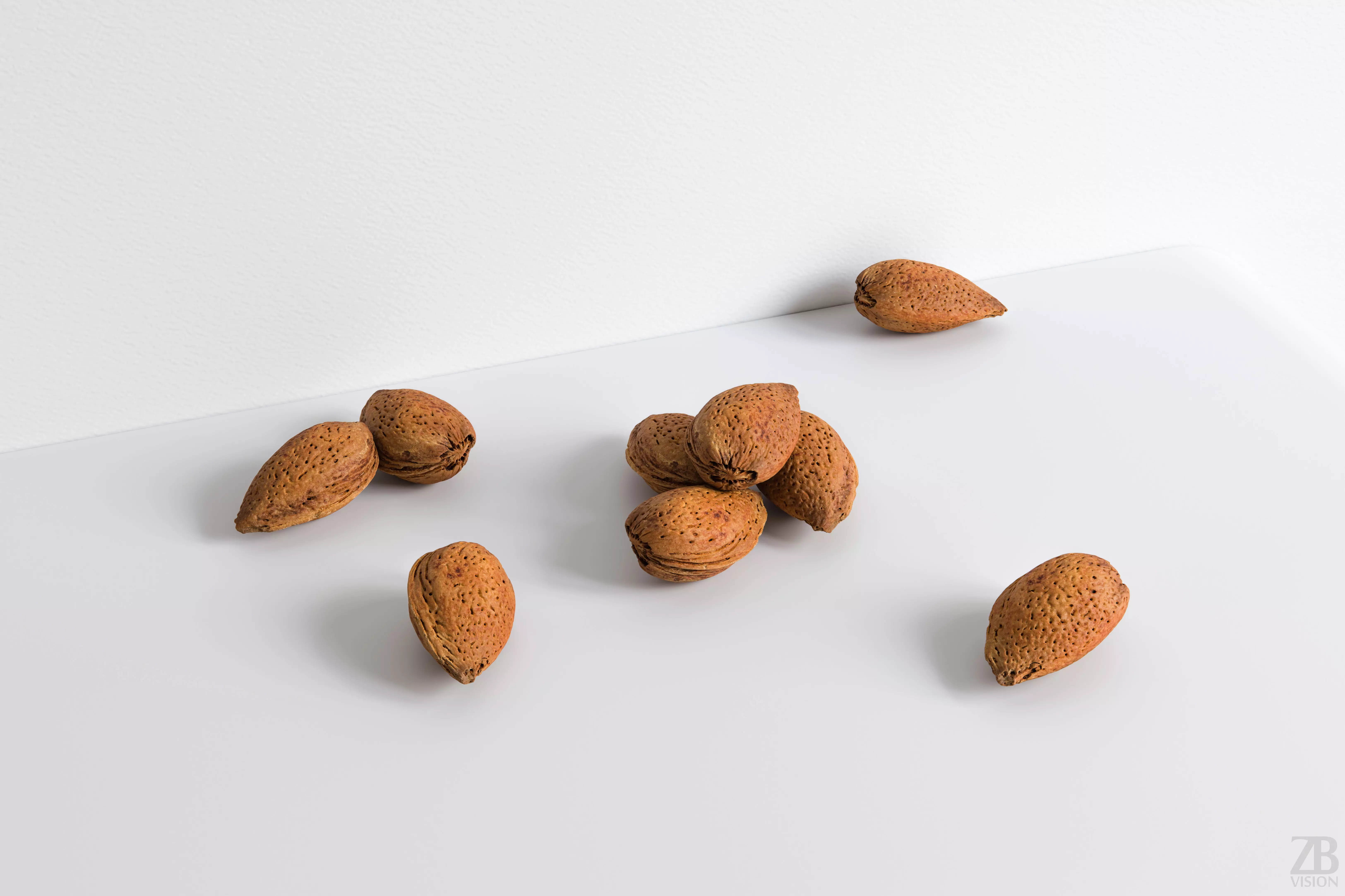 Almond 3D model_0
