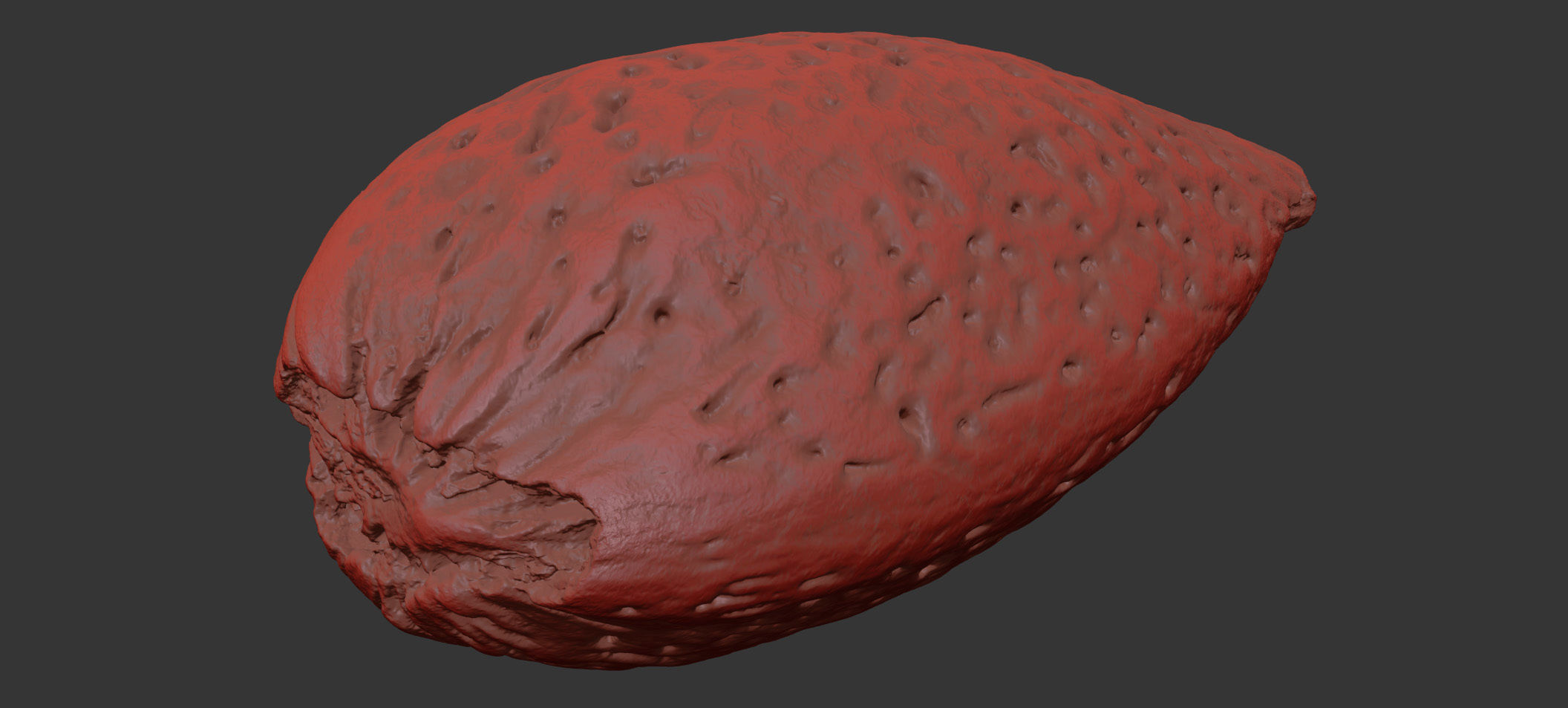 Almond 3D model_7