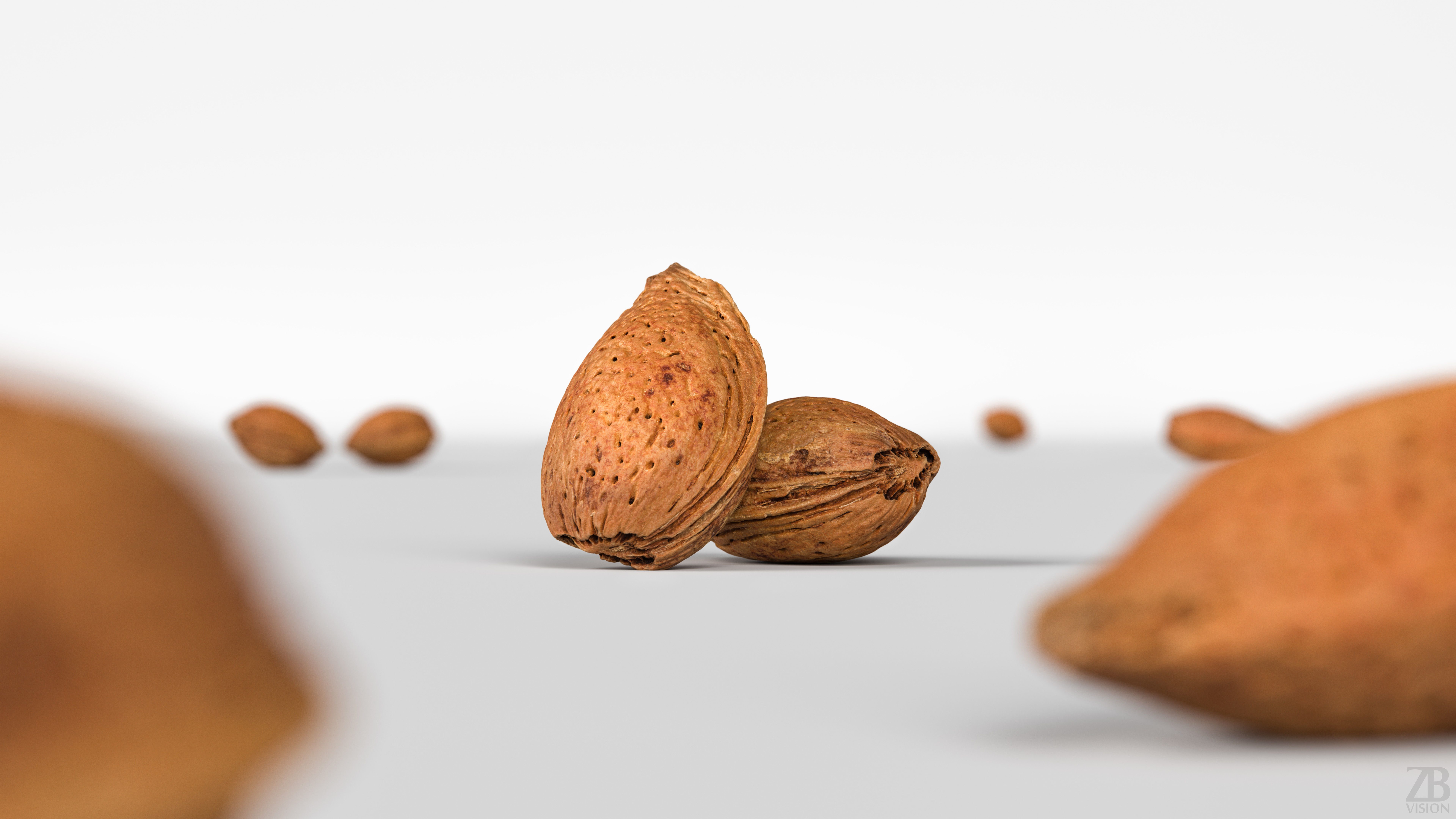 Almond 3D model_1