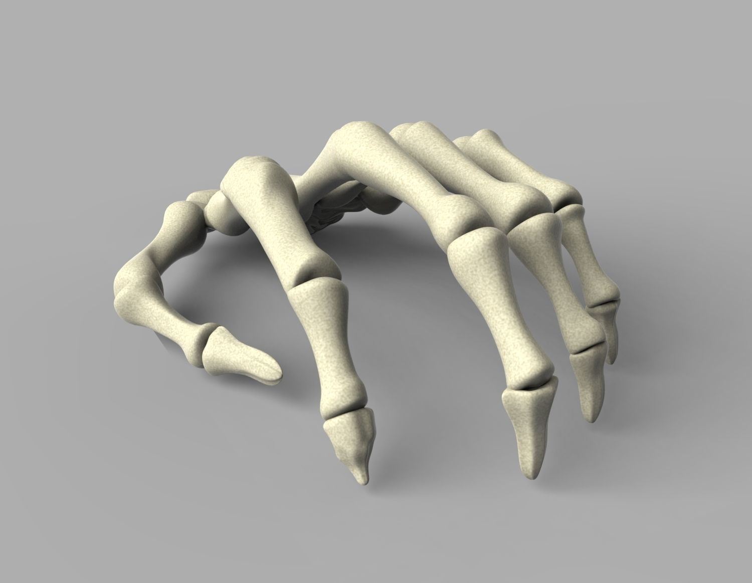 Skeleton Hand 3D model_1