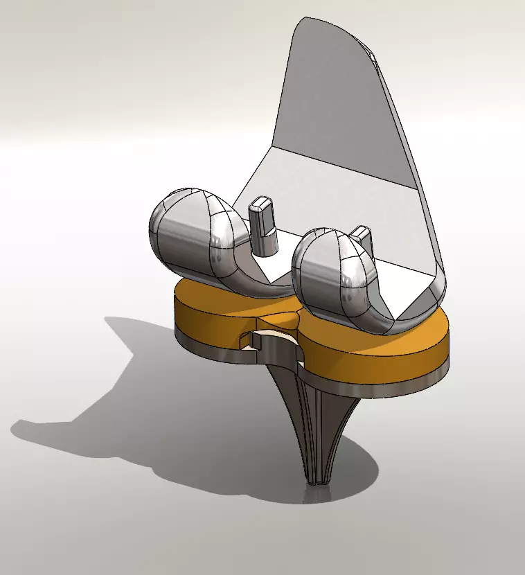 Knee replacement 3D print model_0