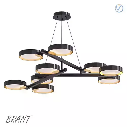 Brant chandelier 3D model