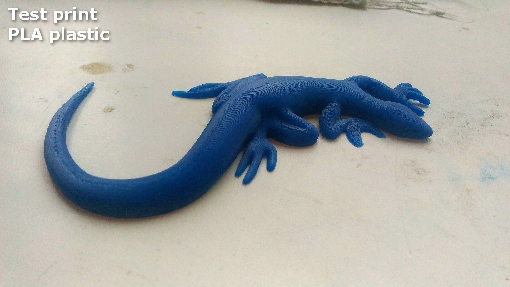 Lizard stylized 3D print model_15