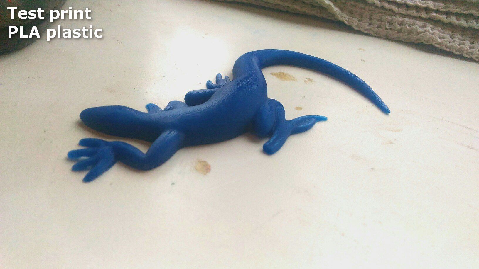 Lizard stylized 3D print model_16