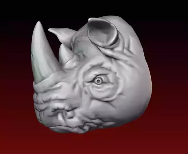 Rhino Head