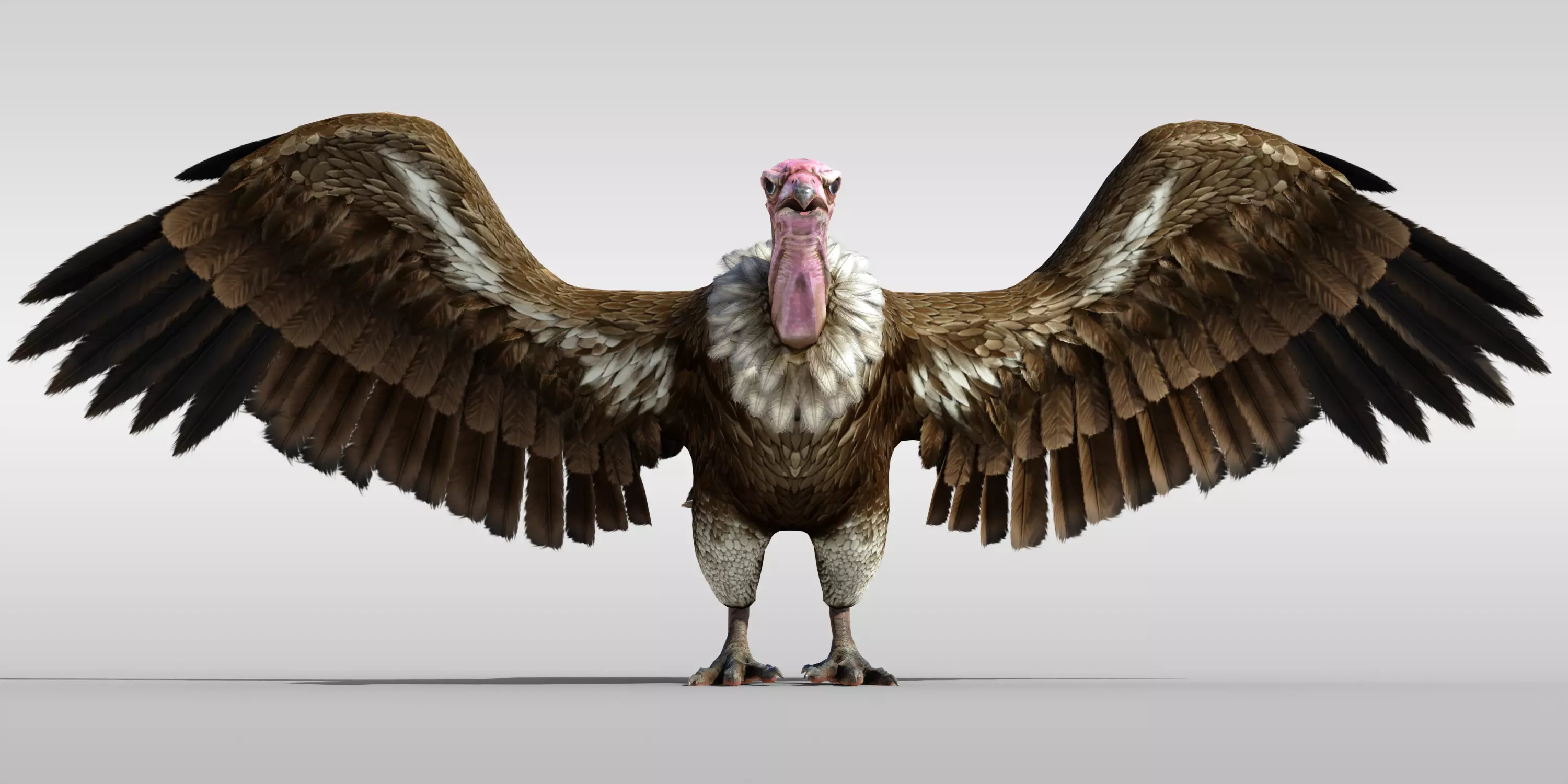 Realistic Vulture Bird Rigged 3D model_0
