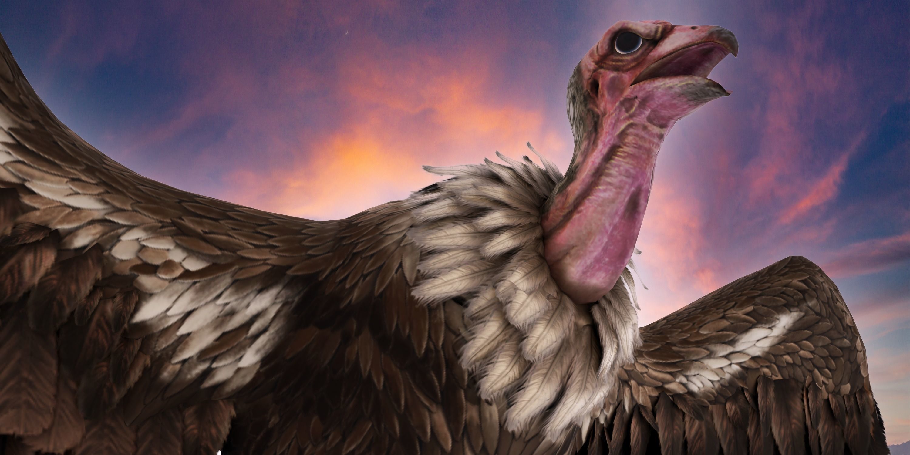 Realistic Vulture Bird Rigged 3D model_3
