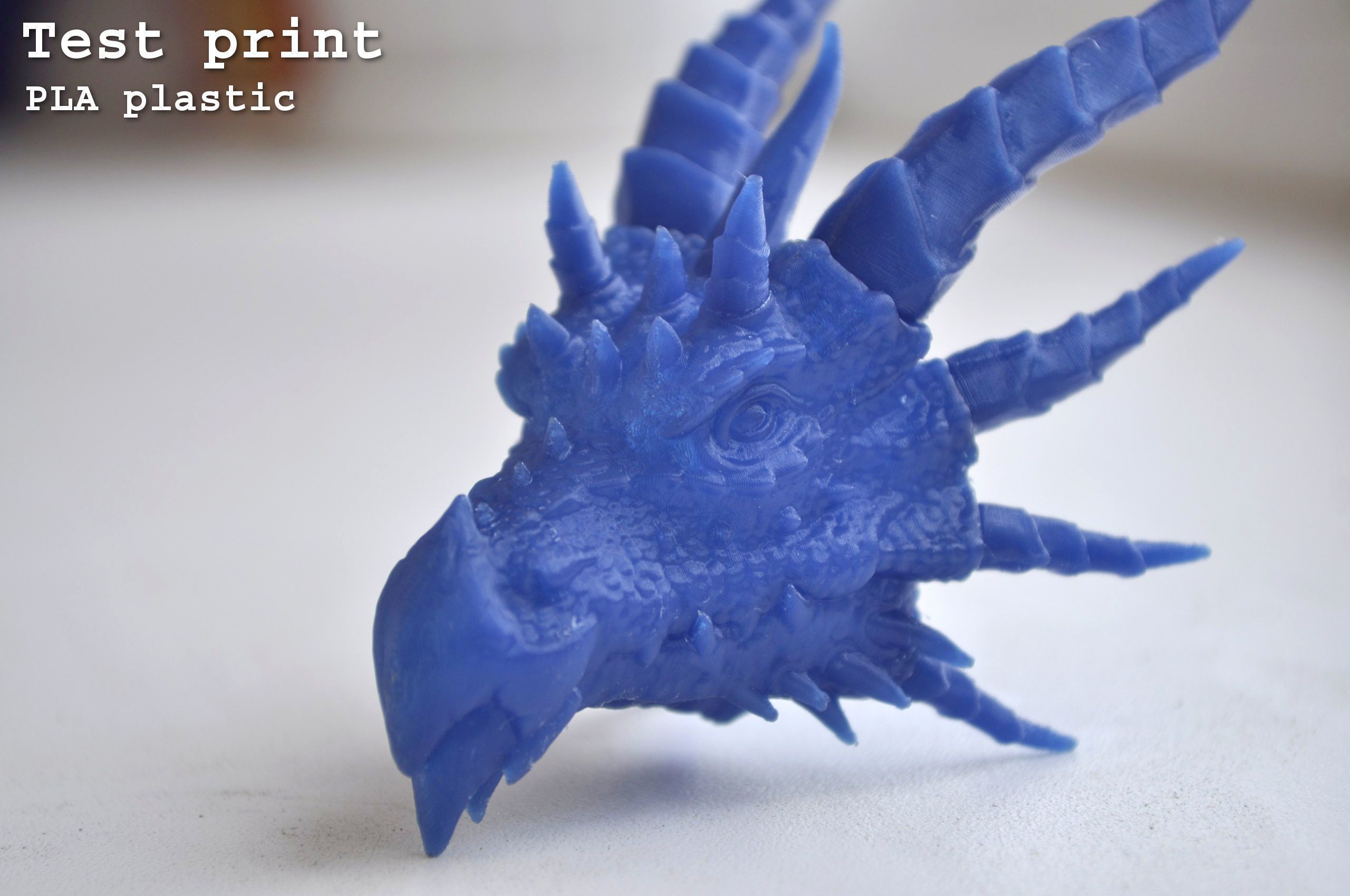 Dragon Head 3D print model_27