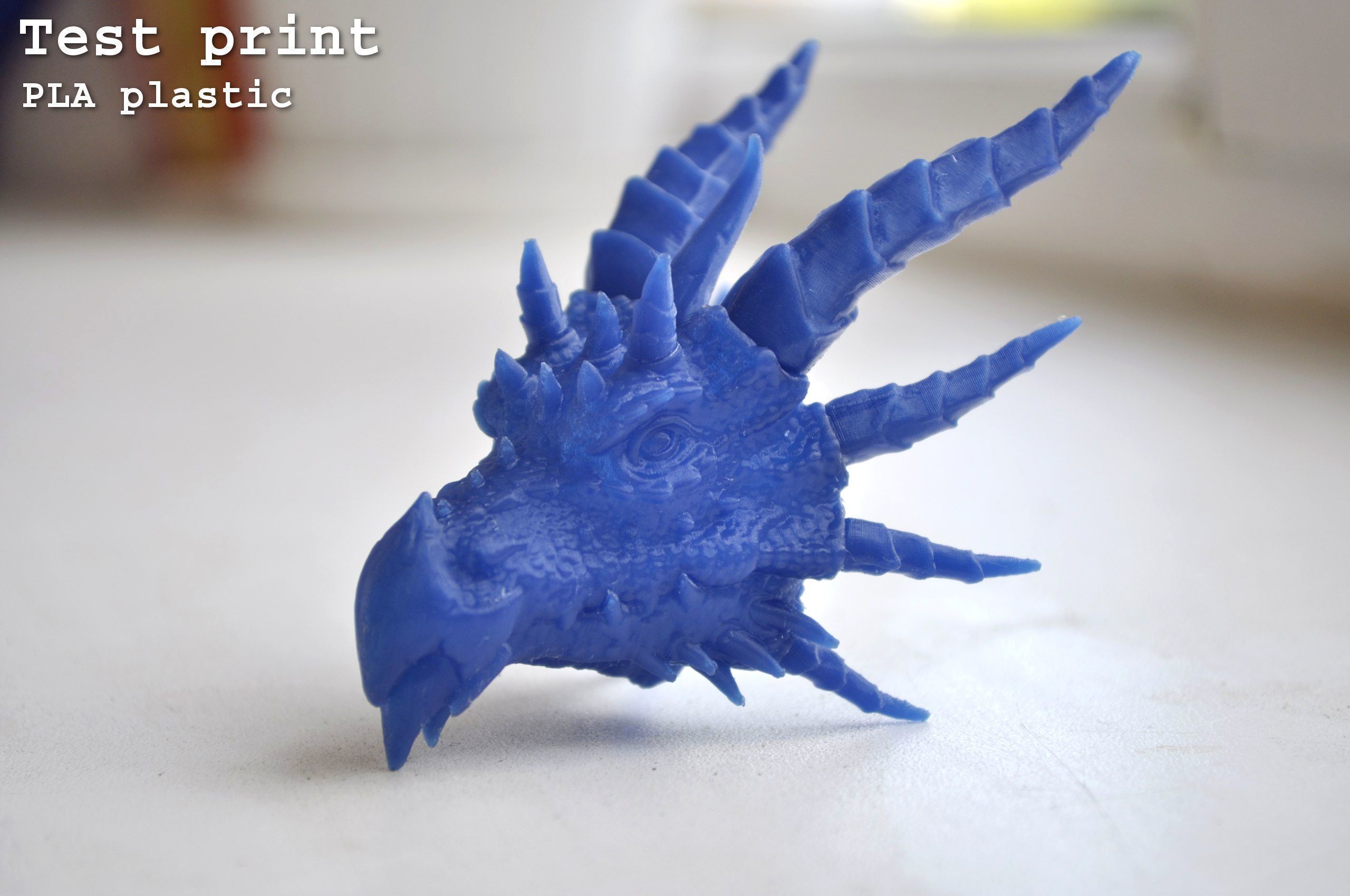 Dragon Head 3D print model_24