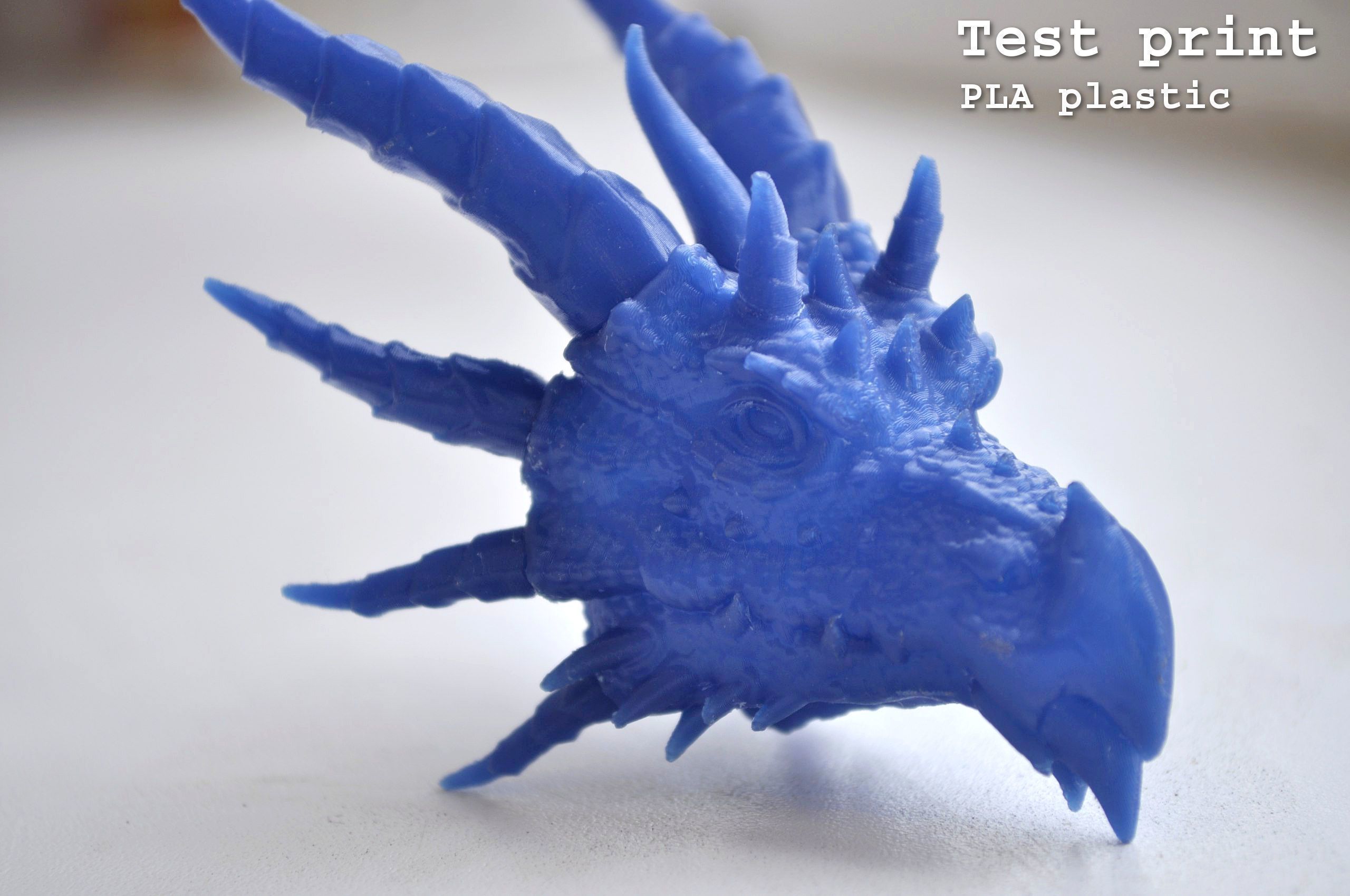 Dragon Head 3D print model_26