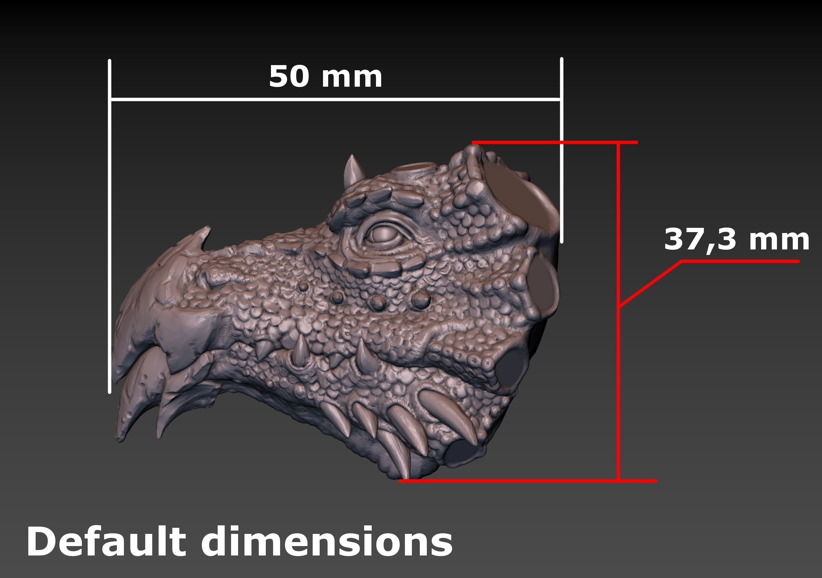 Dragon Head 3D print model_20