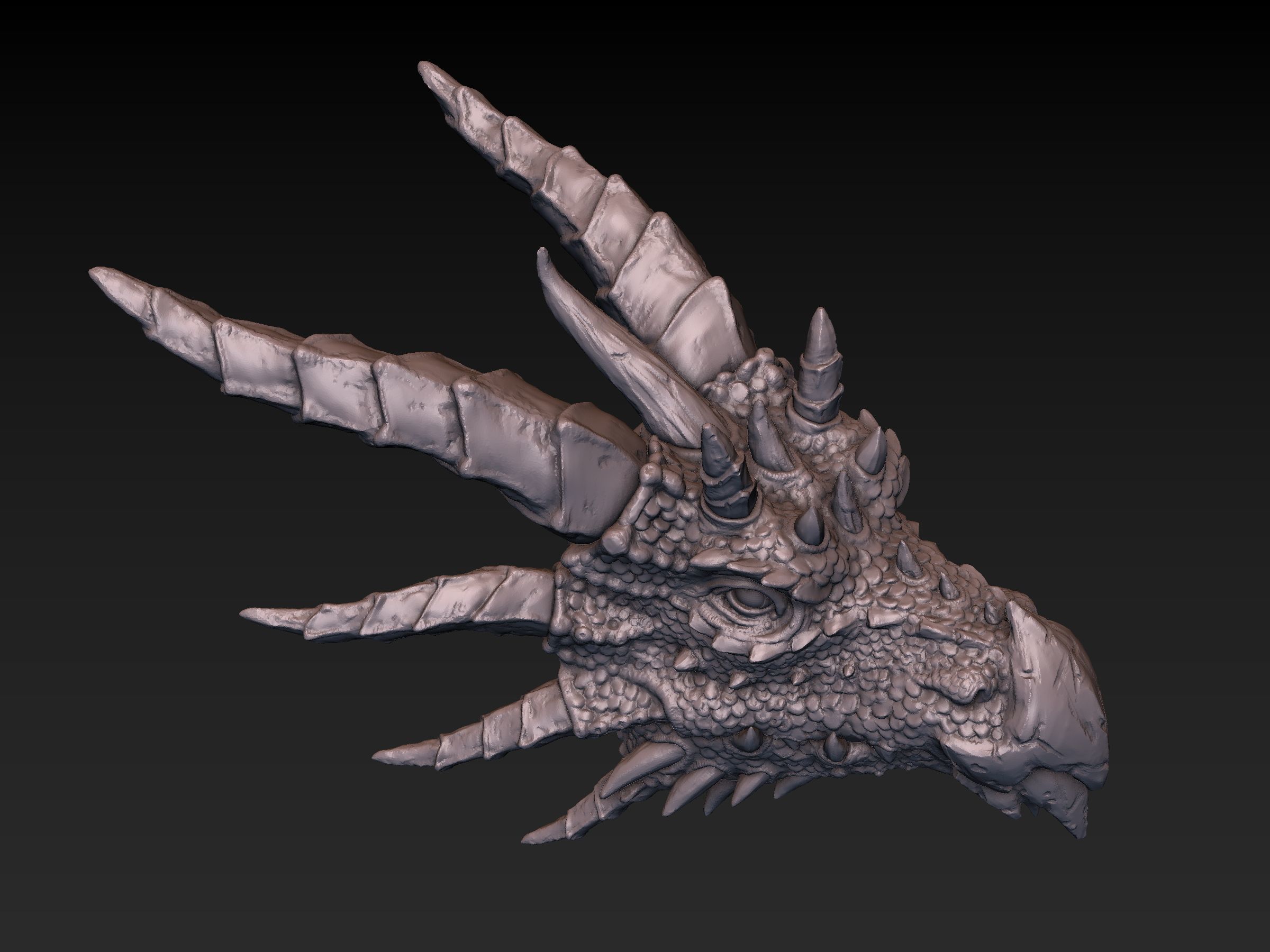 Dragon Head 3D print model_8