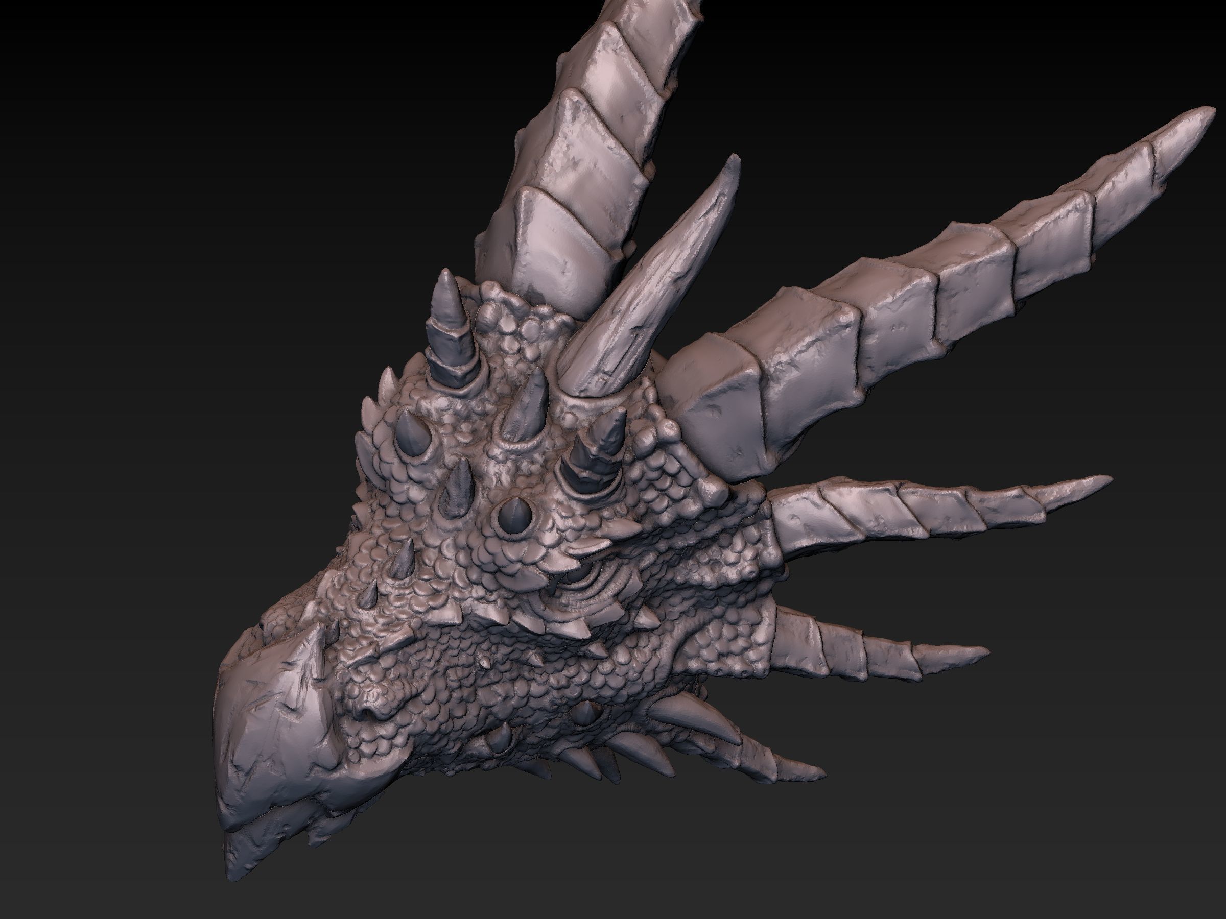 Dragon Head 3D print model_7