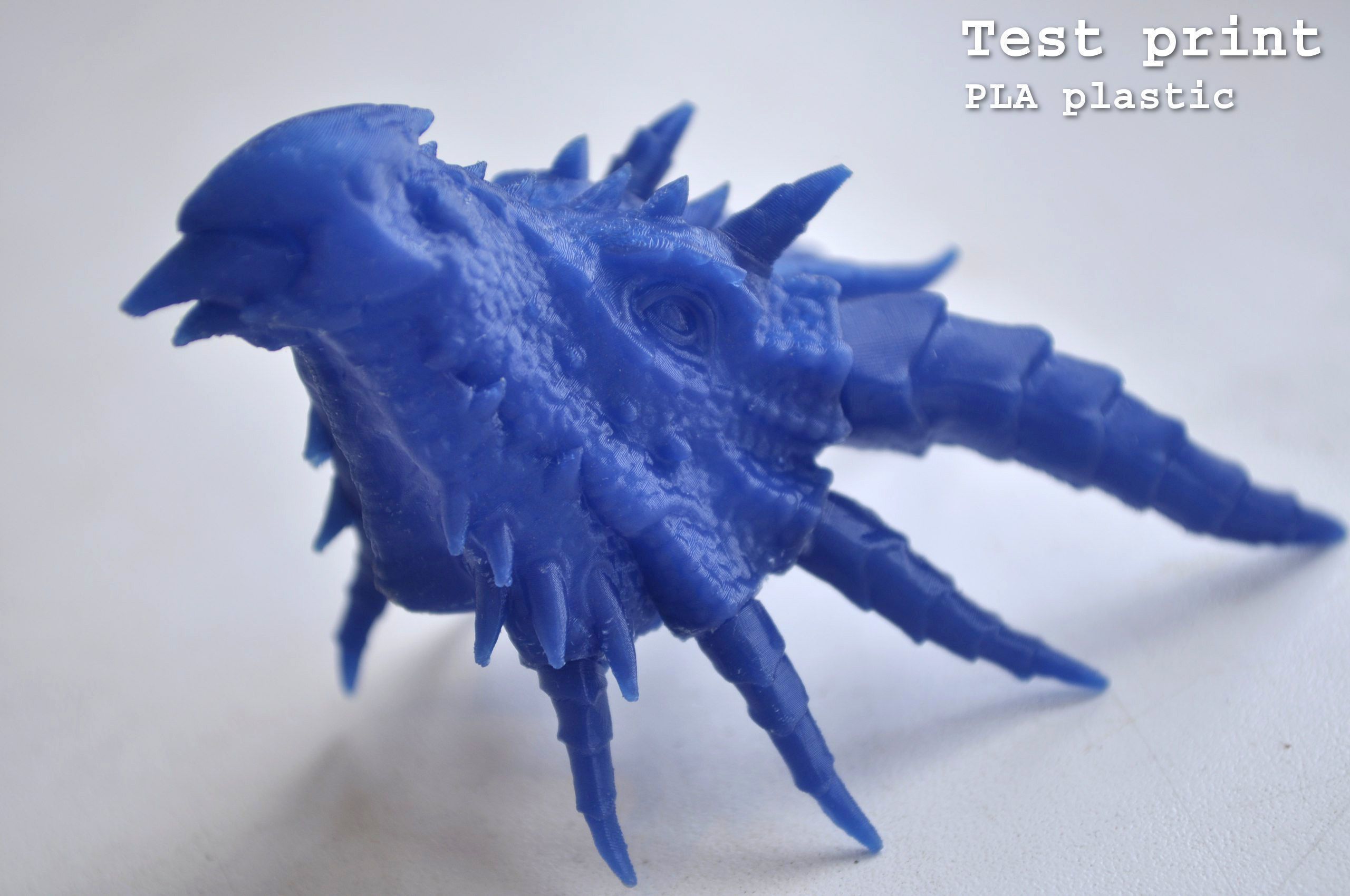 Dragon Head 3D print model_25