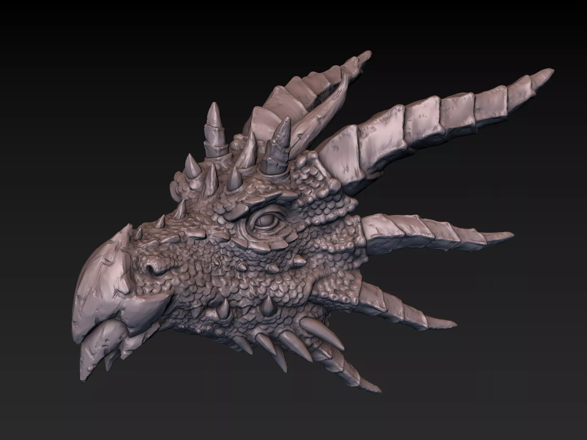 Dragon Head 3D print model_0