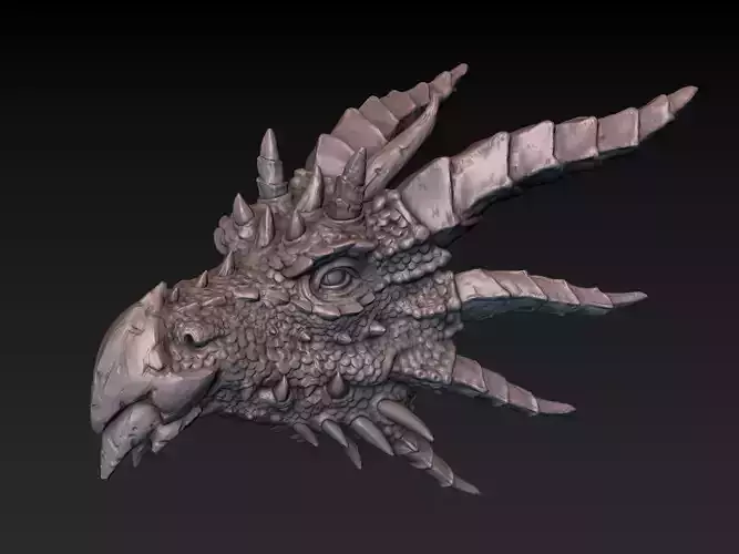 Dragon Head
