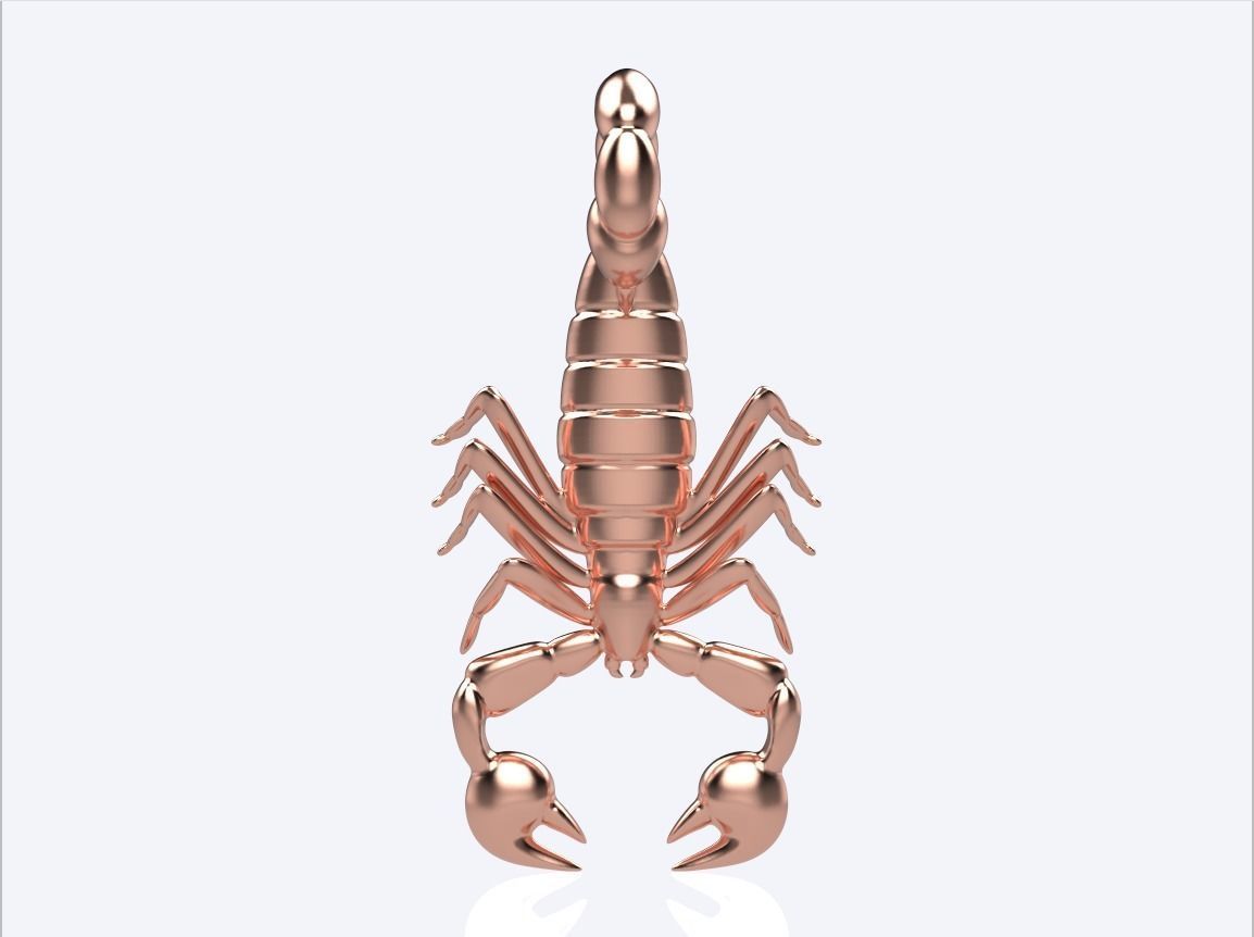 scorpion pendant 3D print model_15
