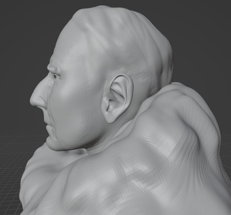 Roald Amundsen 3D print model_10