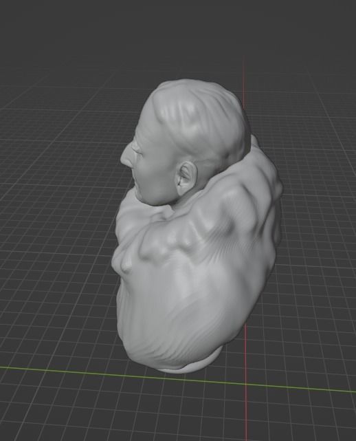 Roald Amundsen 3D print model_18