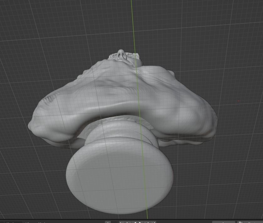 Roald Amundsen 3D print model_7