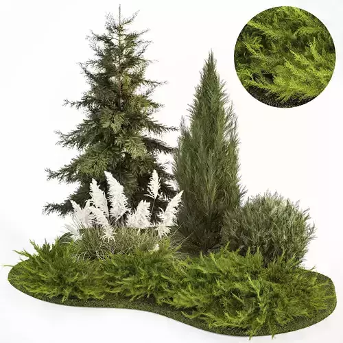 Garden of thuja and cypress trees with pampas grass bushes 1163 3D model