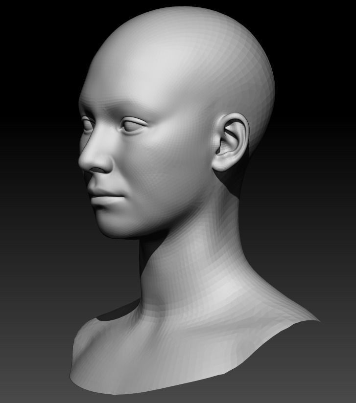 Female Head 1  Low-poly 3D model_1