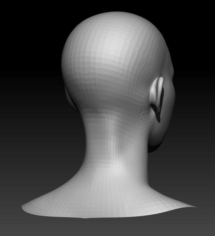 Female Head 1  Low-poly 3D model_4