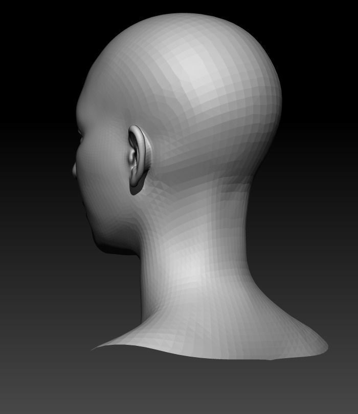 Female Head 1  Low-poly 3D model_3
