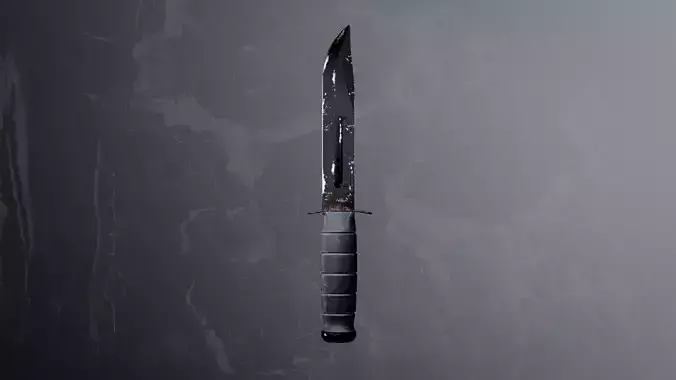 Combat Knife