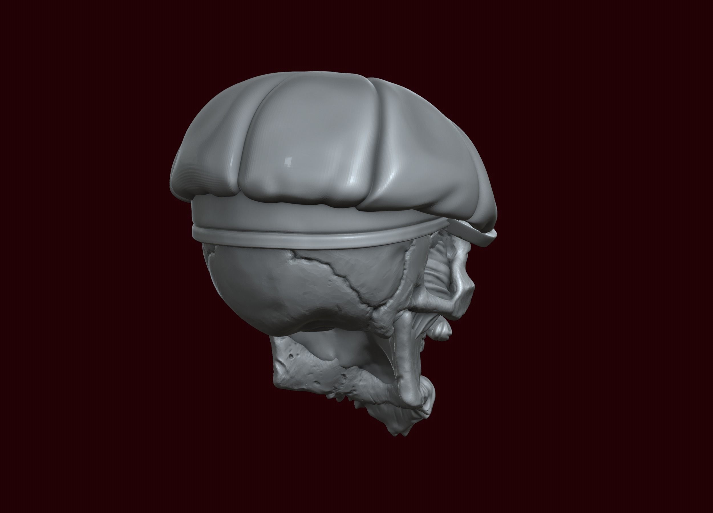 Skull in Eight-Blade Cap 3D print model_8