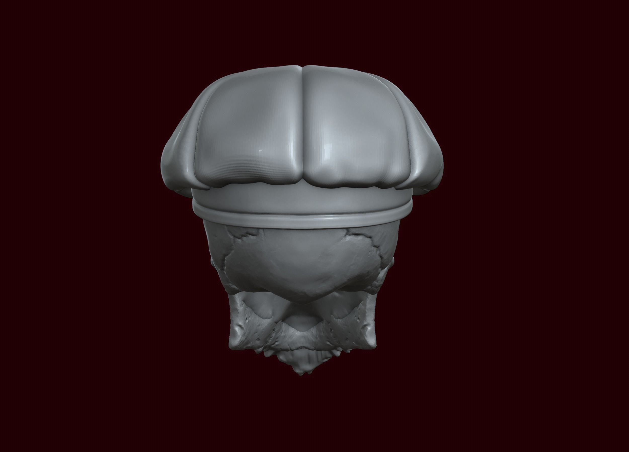 Skull in Eight-Blade Cap 3D print model_7