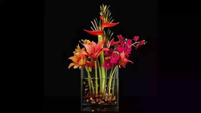 Plant 48 3D model