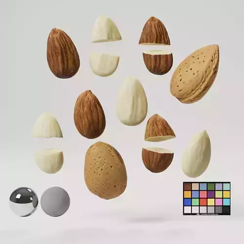 Almonds 3D model
