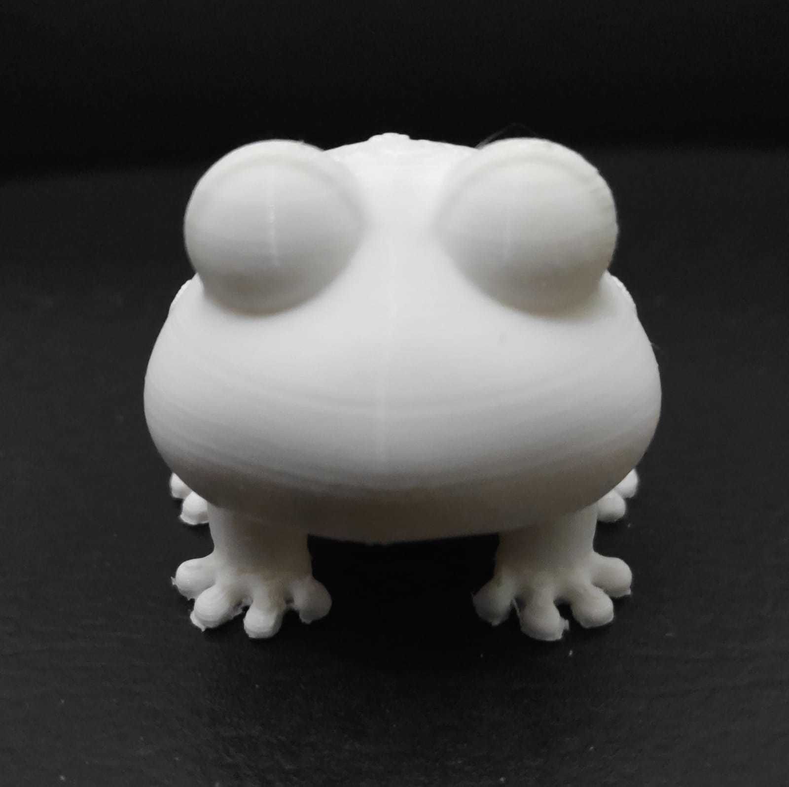 Cute Little Frog 3D print model_10