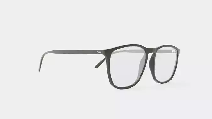 Polo Ralph Lauren - PH2194 5284 Glasses