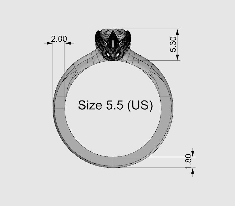 Solitaire diamond ring with Protea flower stylized setting 3D print model_3