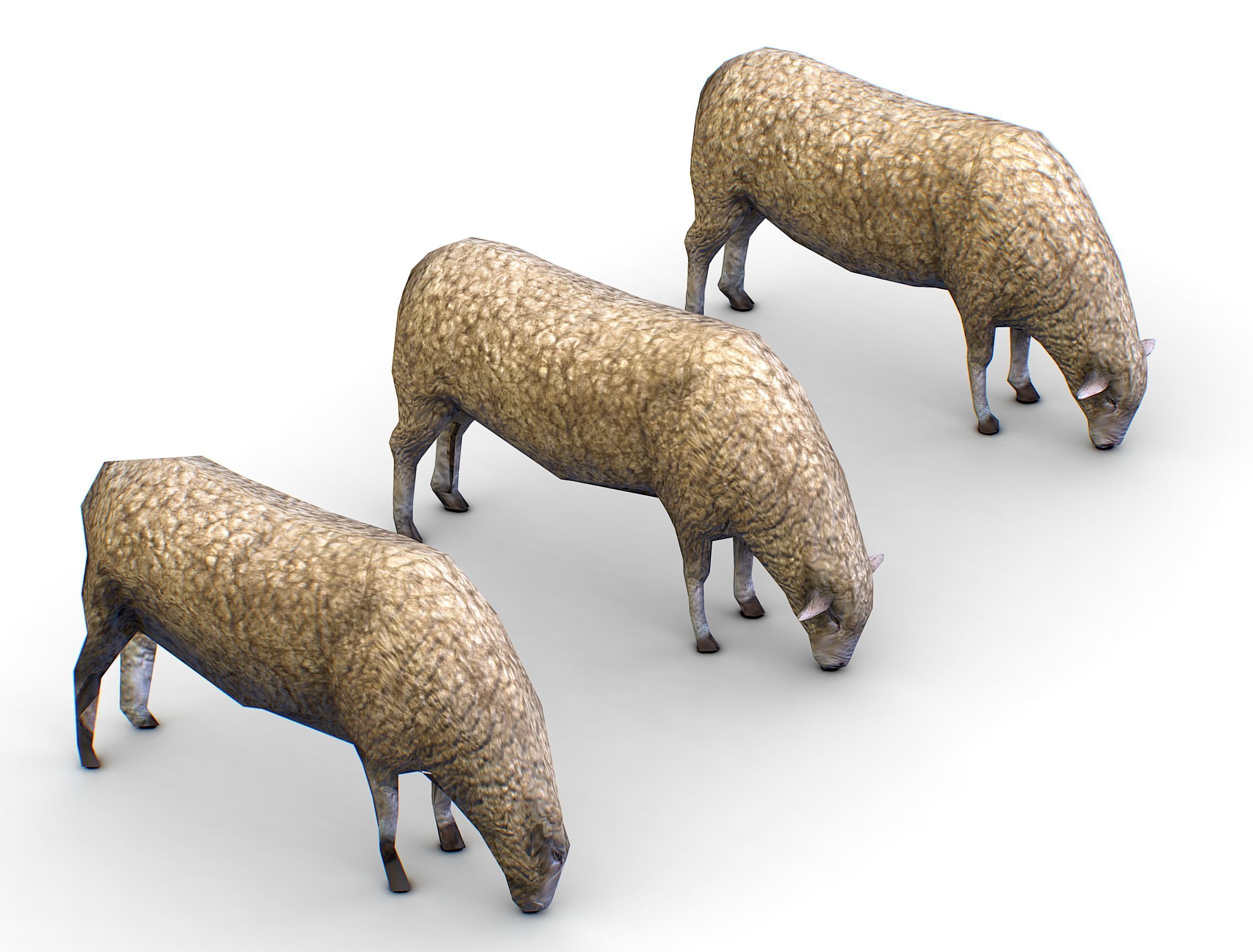 Low Poly Farm Sheep Low-poly 3D model_9