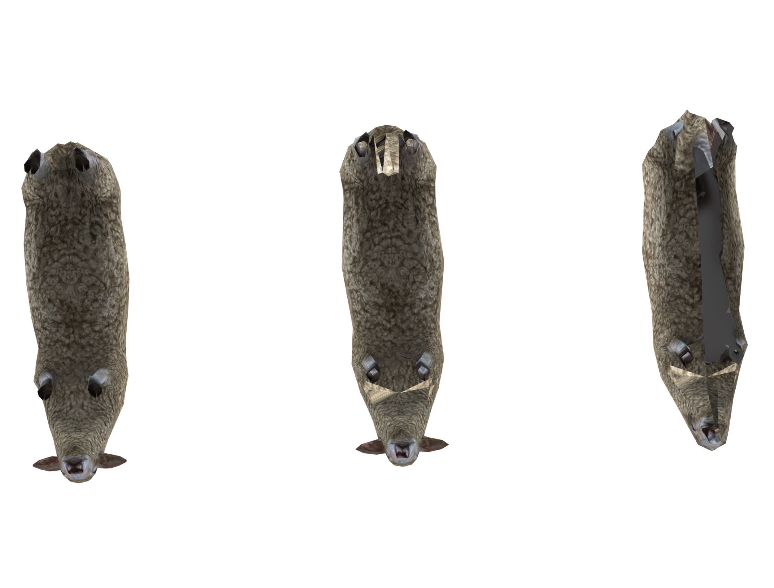 Low Poly Farm Sheep Low-poly 3D model_15