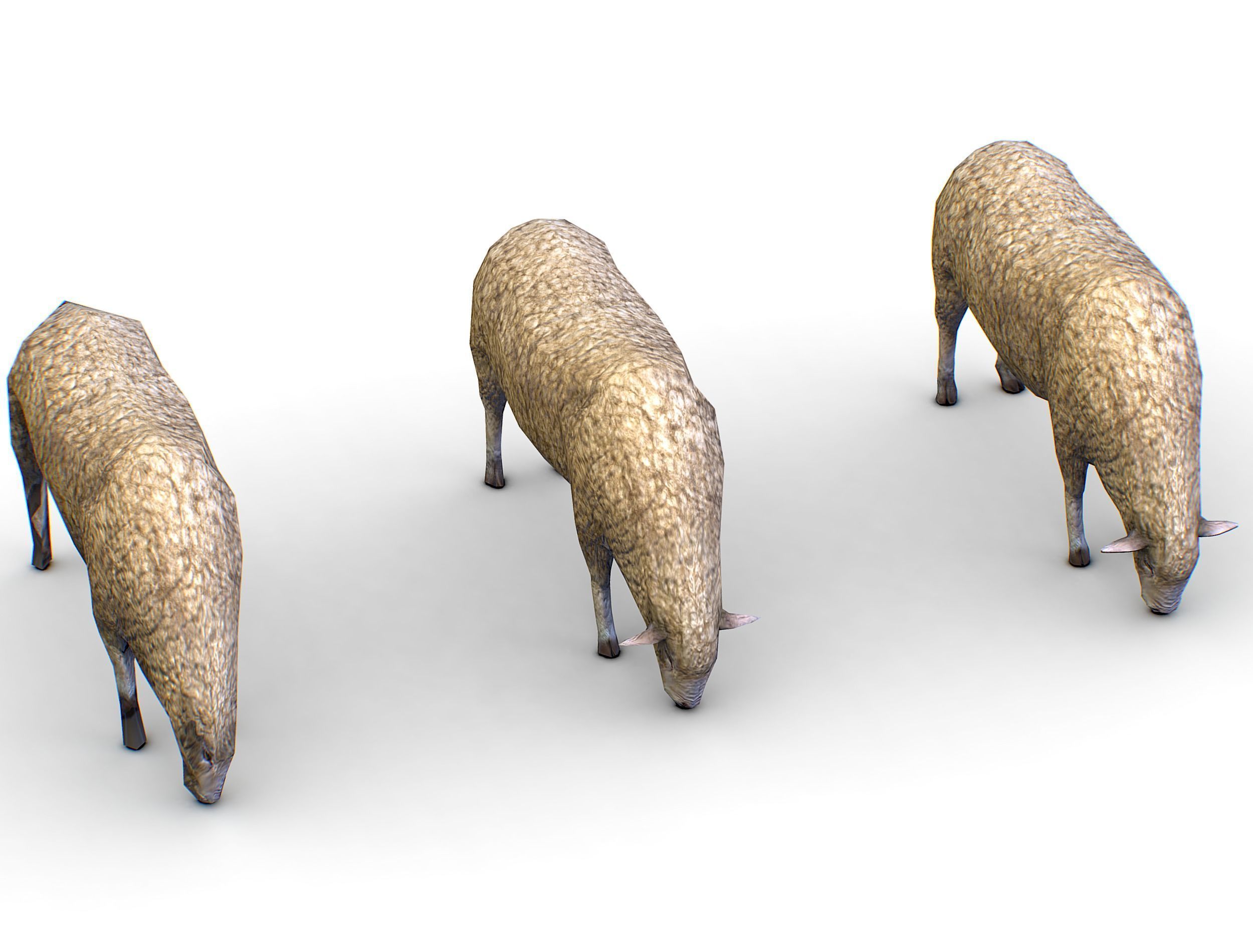 Low Poly Farm Sheep Low-poly 3D model_10