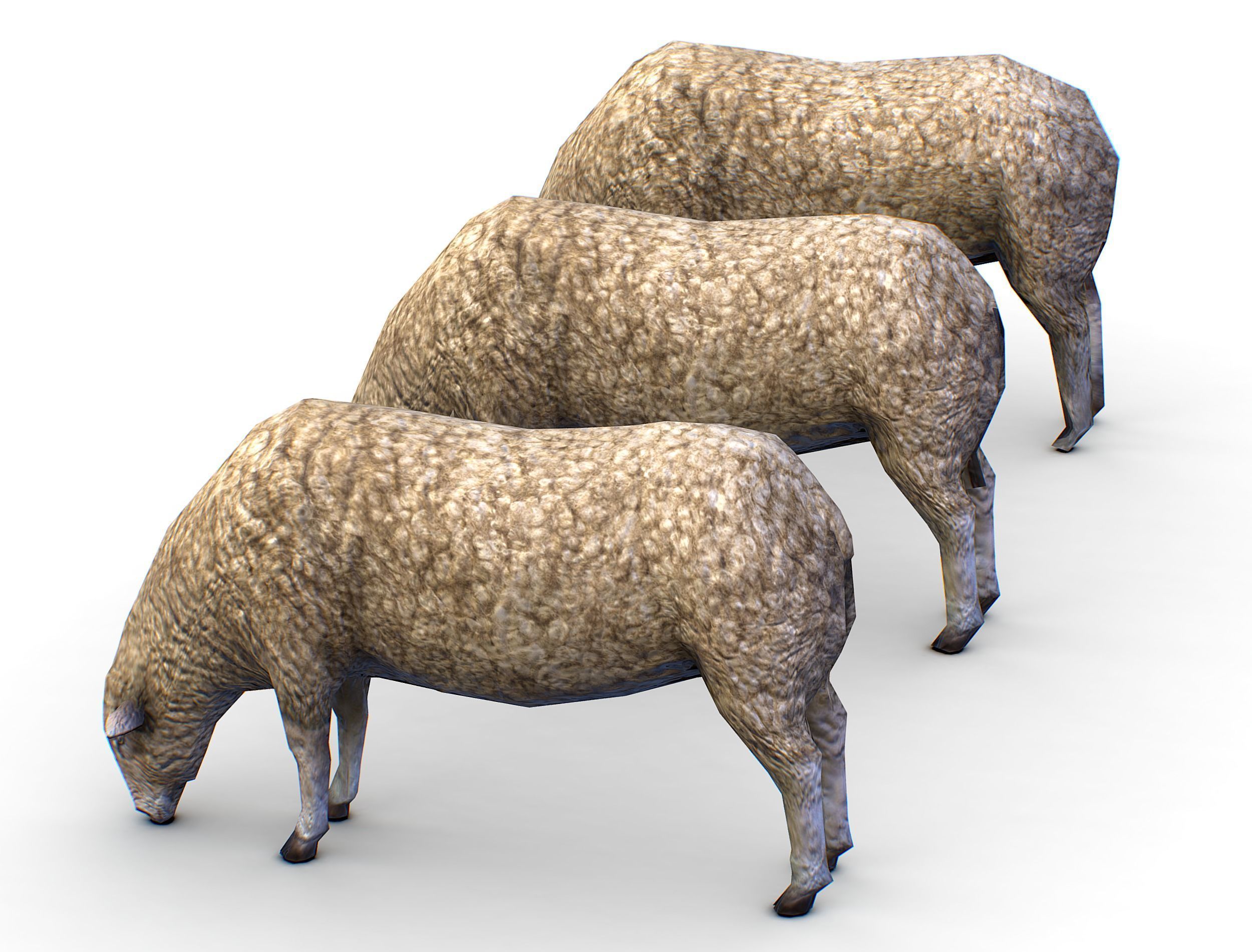 Low Poly Farm Sheep Low-poly 3D model_2