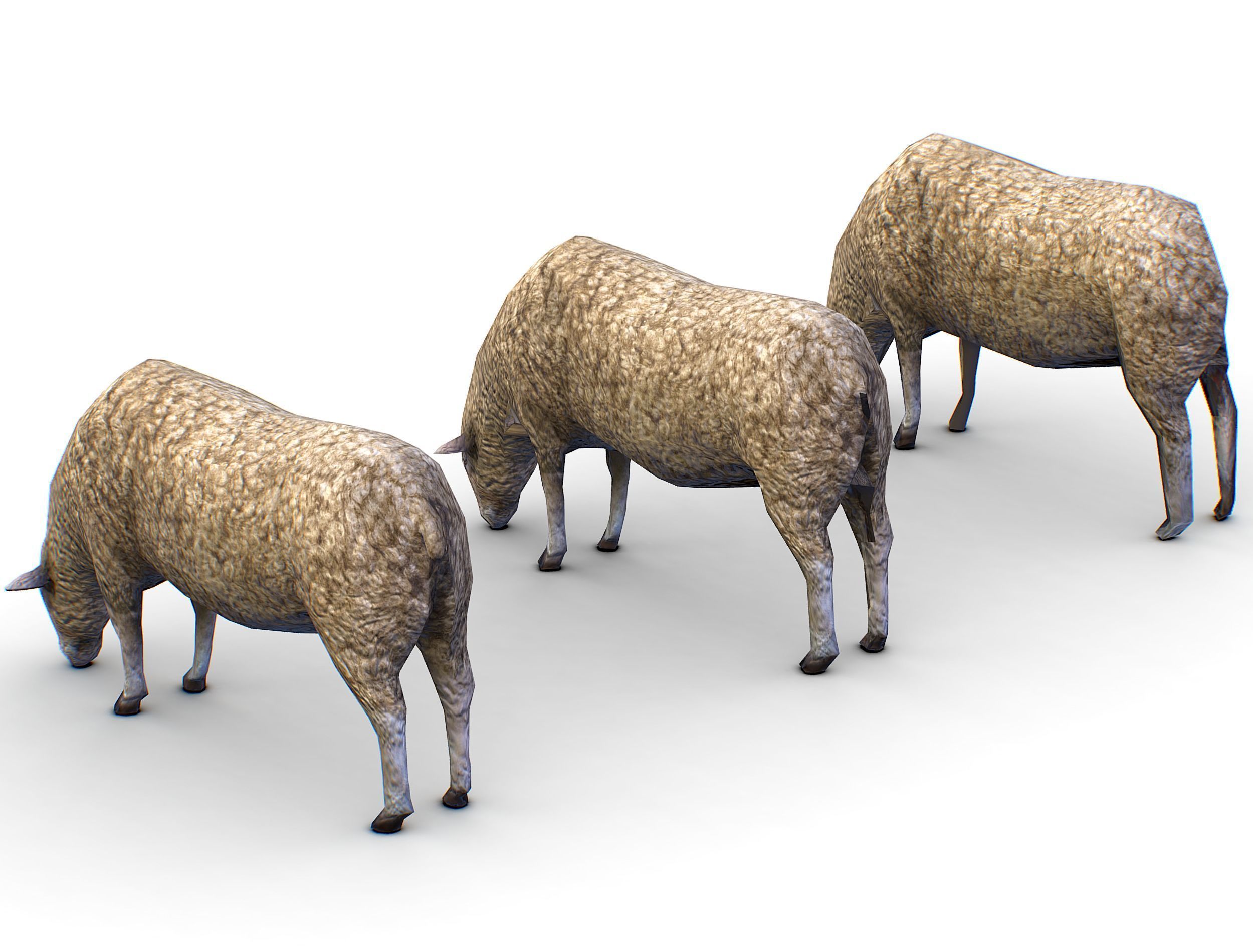 Low Poly Farm Sheep Low-poly 3D model_3