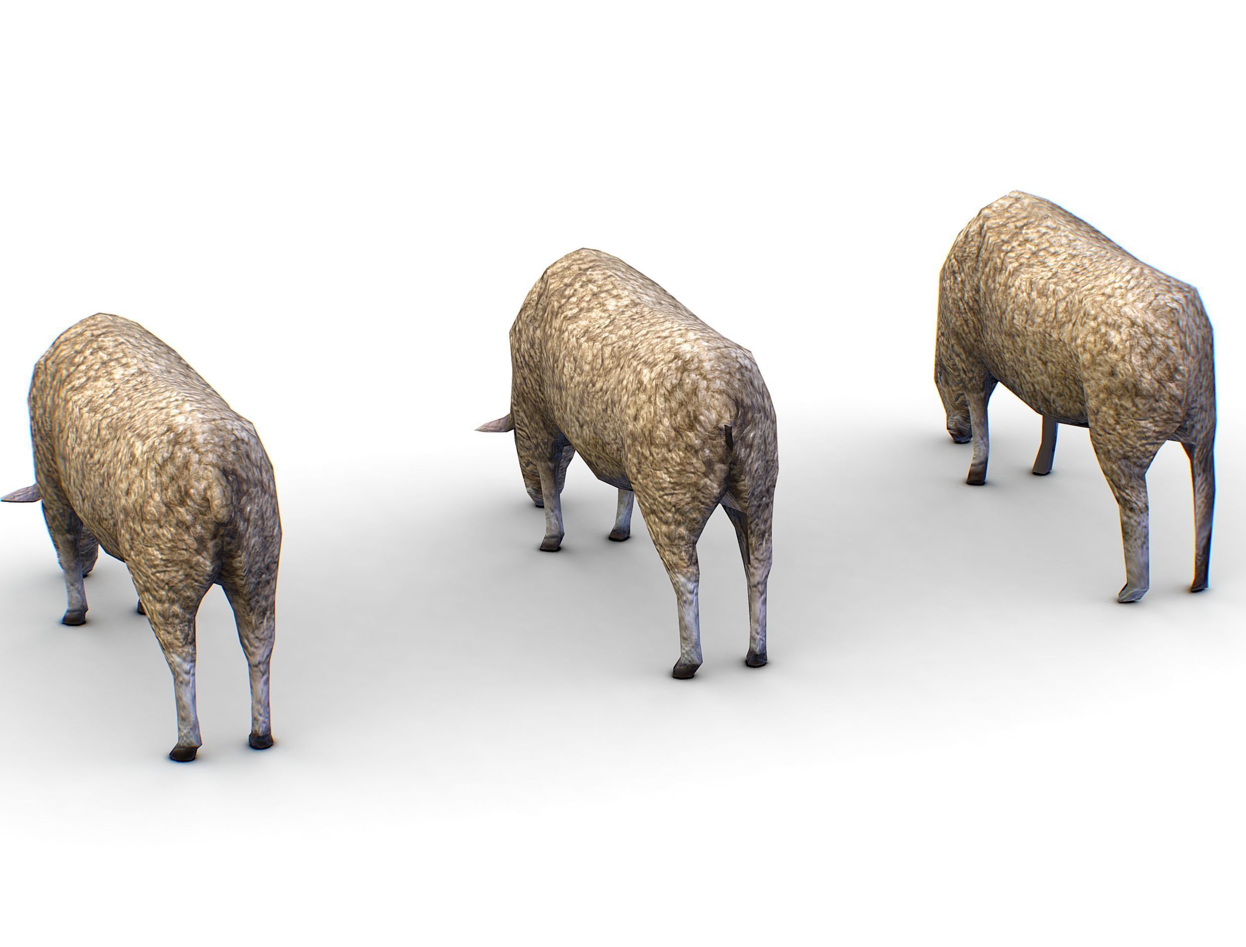 Low Poly Farm Sheep Low-poly 3D model_4